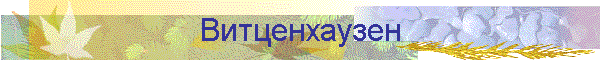 Витценхаузен