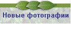 Новые фотографии