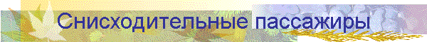 Снисходительные пассажиры