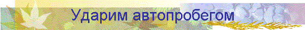 Ударим автопробегом