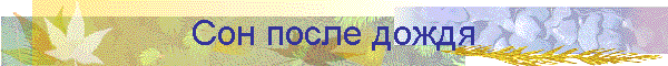 Сон после дождя