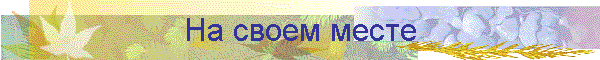На своем месте