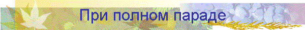 При полном параде