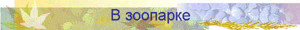 В зоопарке